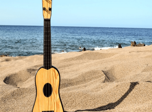 Live Music at Coconuts Beach Bar & Grill