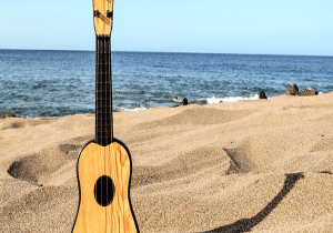 Live Music at Coconuts Beach Bar & Grill