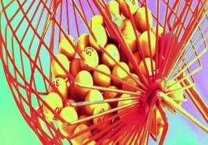 Bar Bingo With DJ Rupe at Beach Barrels