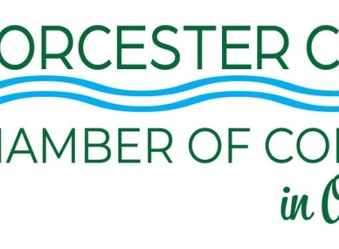 Mini Golf Tournament - POSTPONED