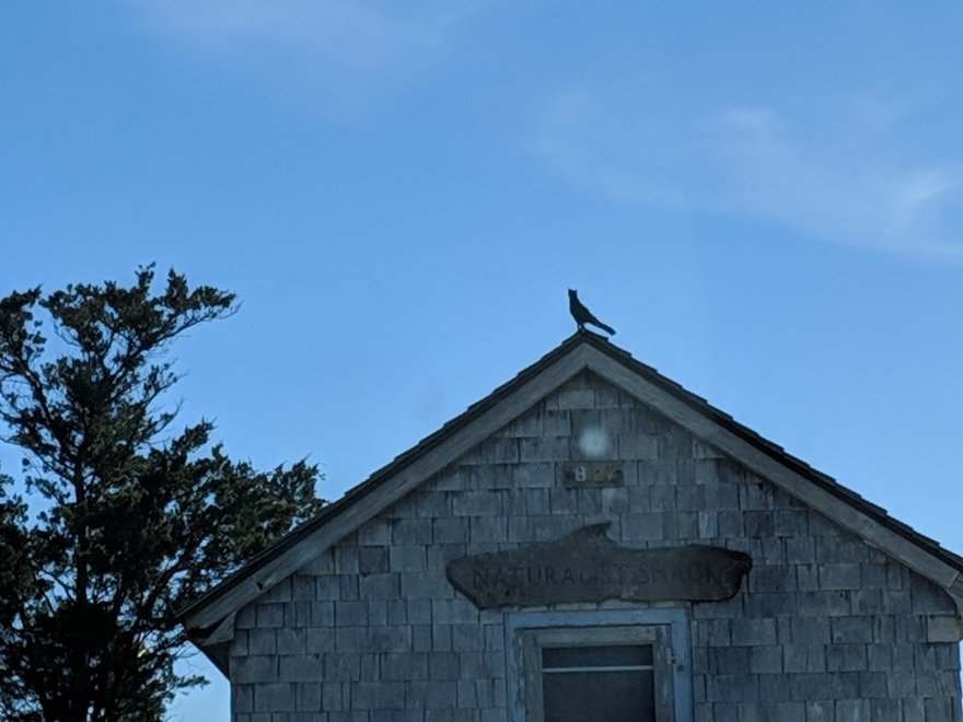 Assateague Island National Seashore