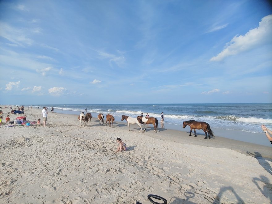 Assateague Island National Seashore