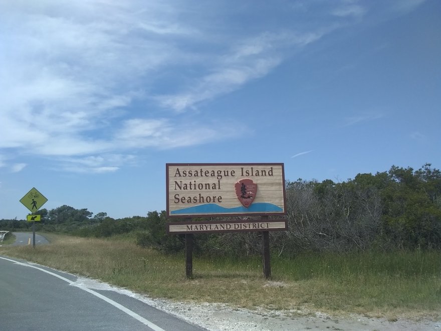 Assateague Island National Seashore