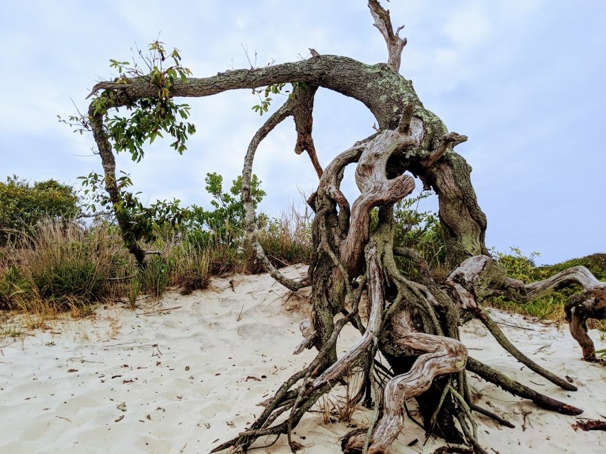 Assateague Island National Seashore