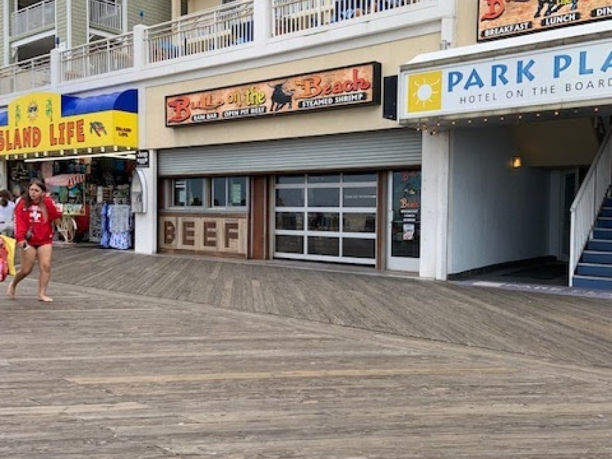 Bull on the Beach