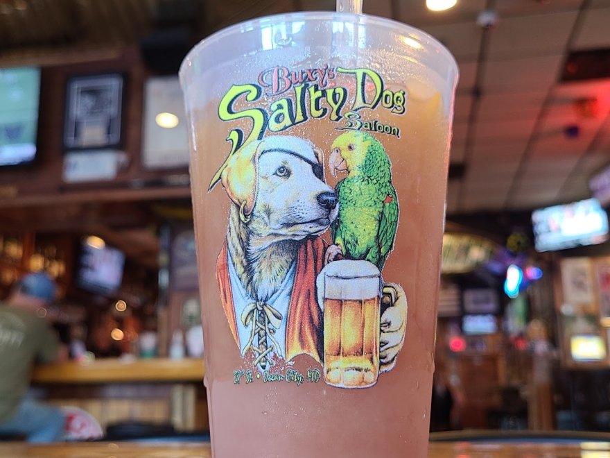 Buxy's Salty Dog Saloon