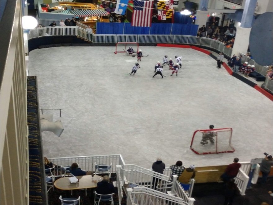 Carousel Ice Skating Rink