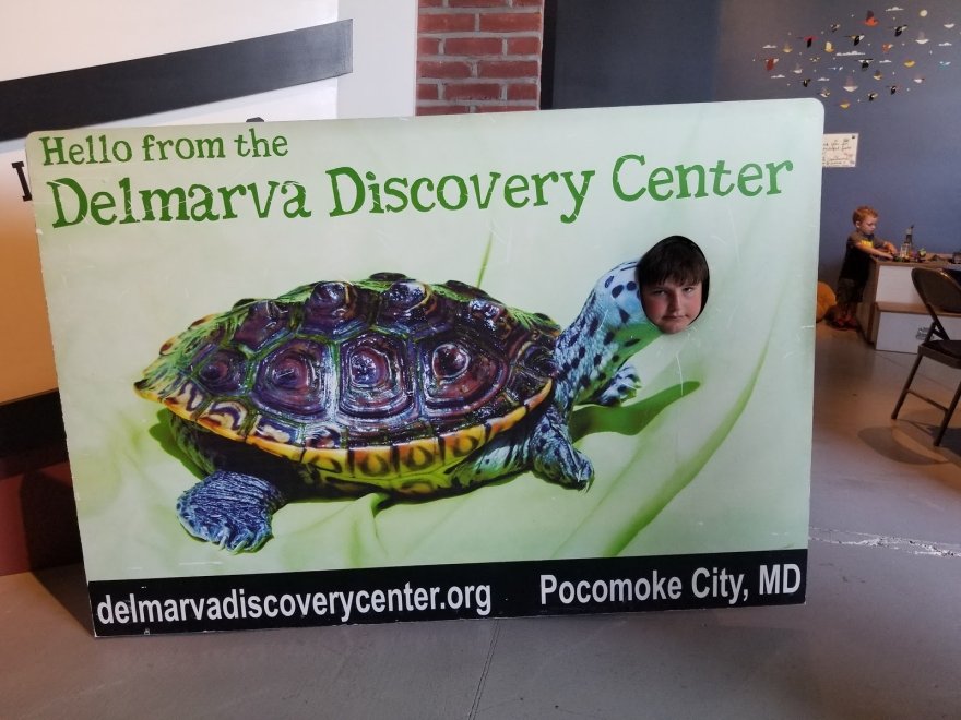 Delmarva Discovery Museum