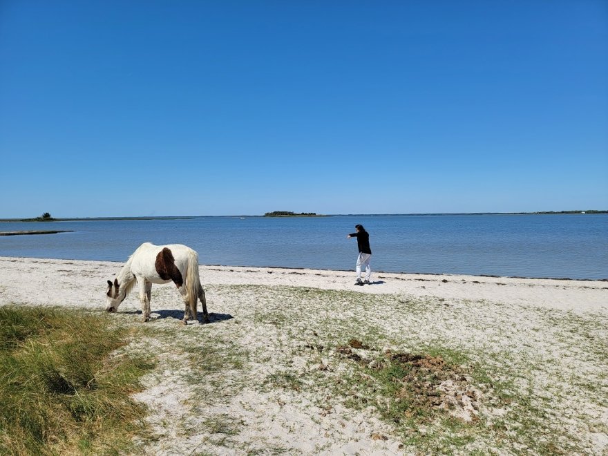 Assateague Outfitters