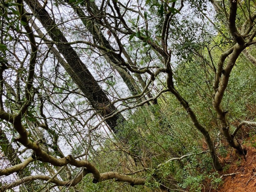 Herring Creek Nature Park