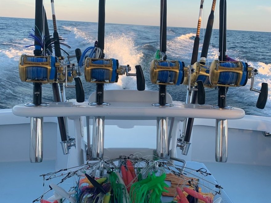 Spring Mix Charters