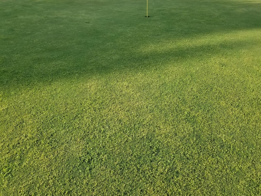 Assateague Greens Golf Center