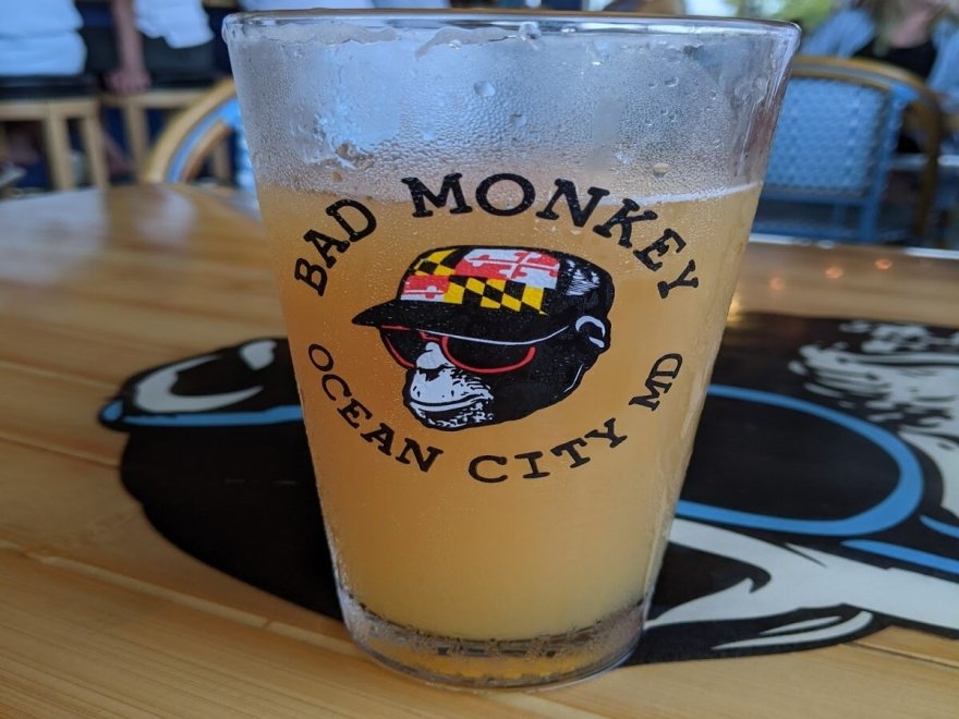 Bad Monkey West OC