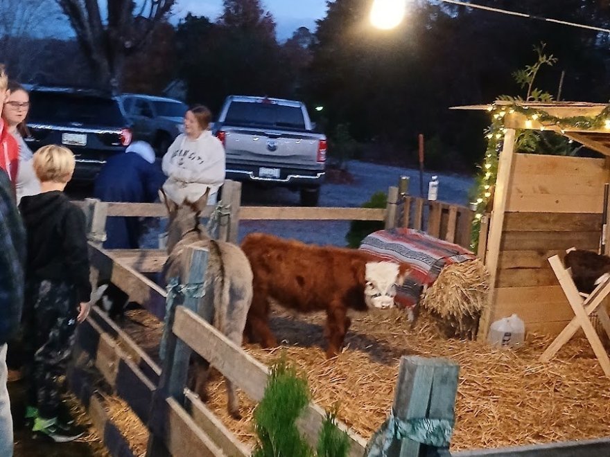 Bluebird Farms