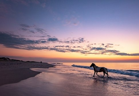 Outdoor Activities on Maryland’s Coast