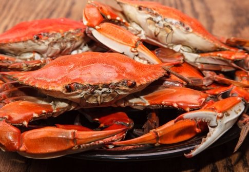 Best Crabs in Ocean City, MD